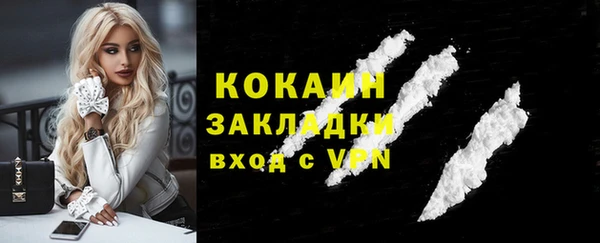 шишки Беломорск