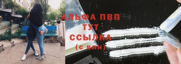 шишки Беломорск