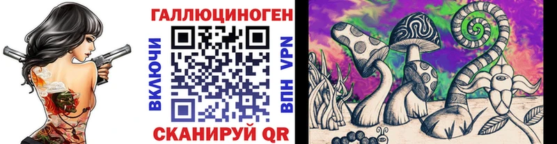 Псилоцибиновые грибы Psilocybe  Купить закладки  Славгород 